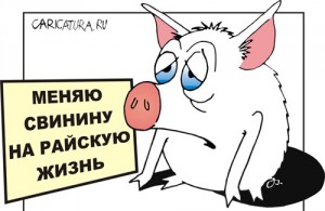 шило на мыло - картинка