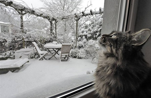 Синоптики в Сретение сделают прогноз на весну в Кузбассе