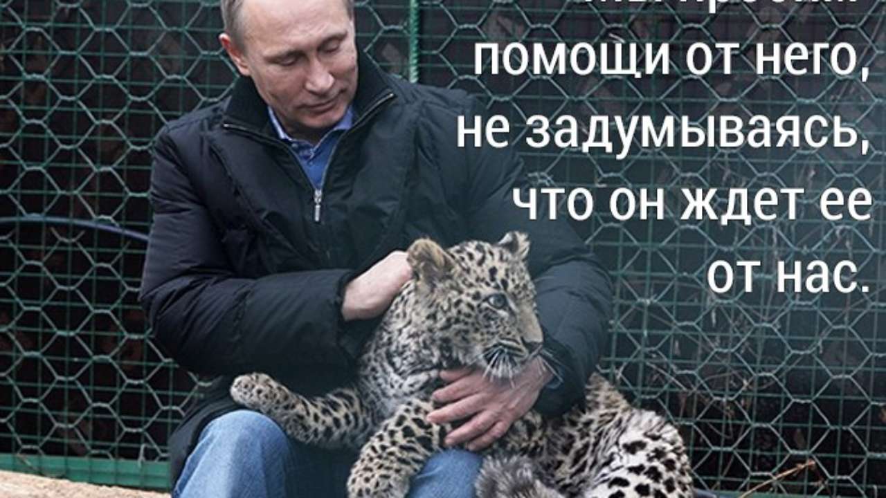 Большая игра Владимира Путина – ч.2 — Новости Новокузнецка сегодня, новости  дня, последние новости