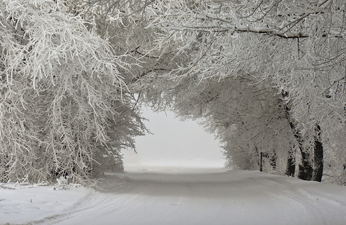 В Кузбасс идут 40-градусные морозы: прогноз погоды