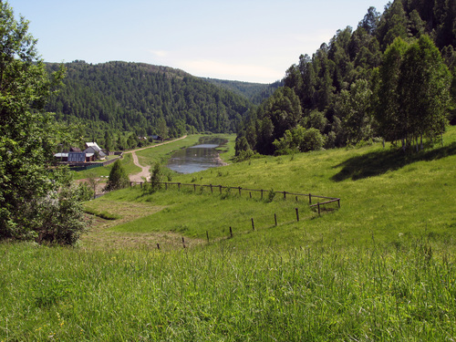 Мухи вместо котлет