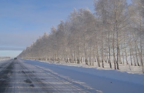 Кузбасские трассы перестали быть безопасными