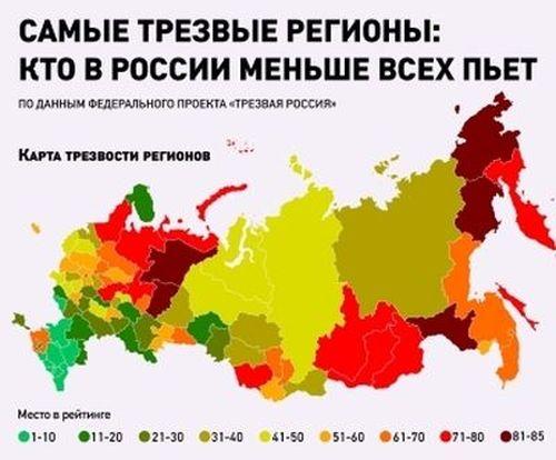 Пить или не пить - вот в чём вопрос