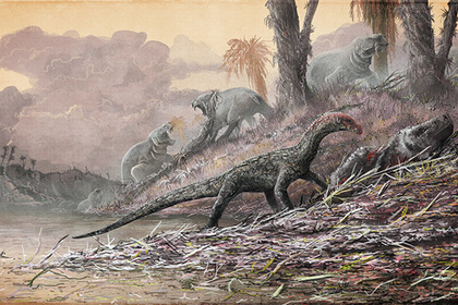 Найдено недостающее звено между крокодилами и птицами