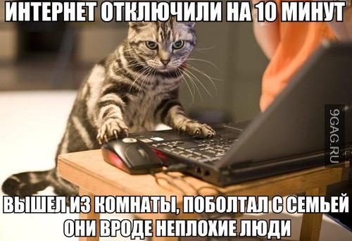 С Днём Святого Интернета!