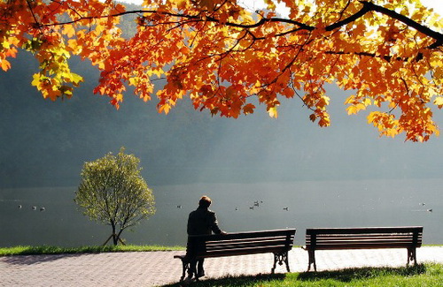 В Гидрометцентре предсказали сухую осень после сырого лета