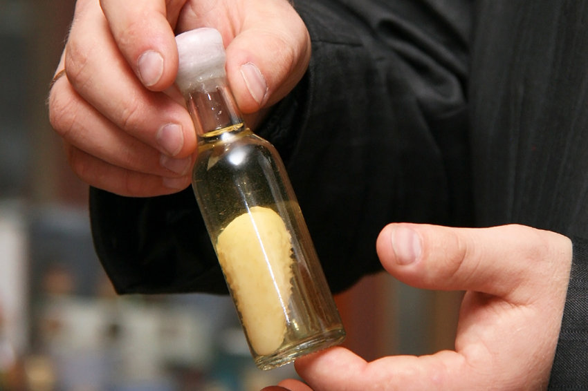 Минпромторг выступает против лишних ограничений в торговле спиртным