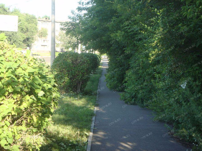 Новокузнечанка удивлена странной формой городских кустов