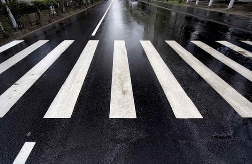 В России хотят существенно увеличить штрафы для пешеходов