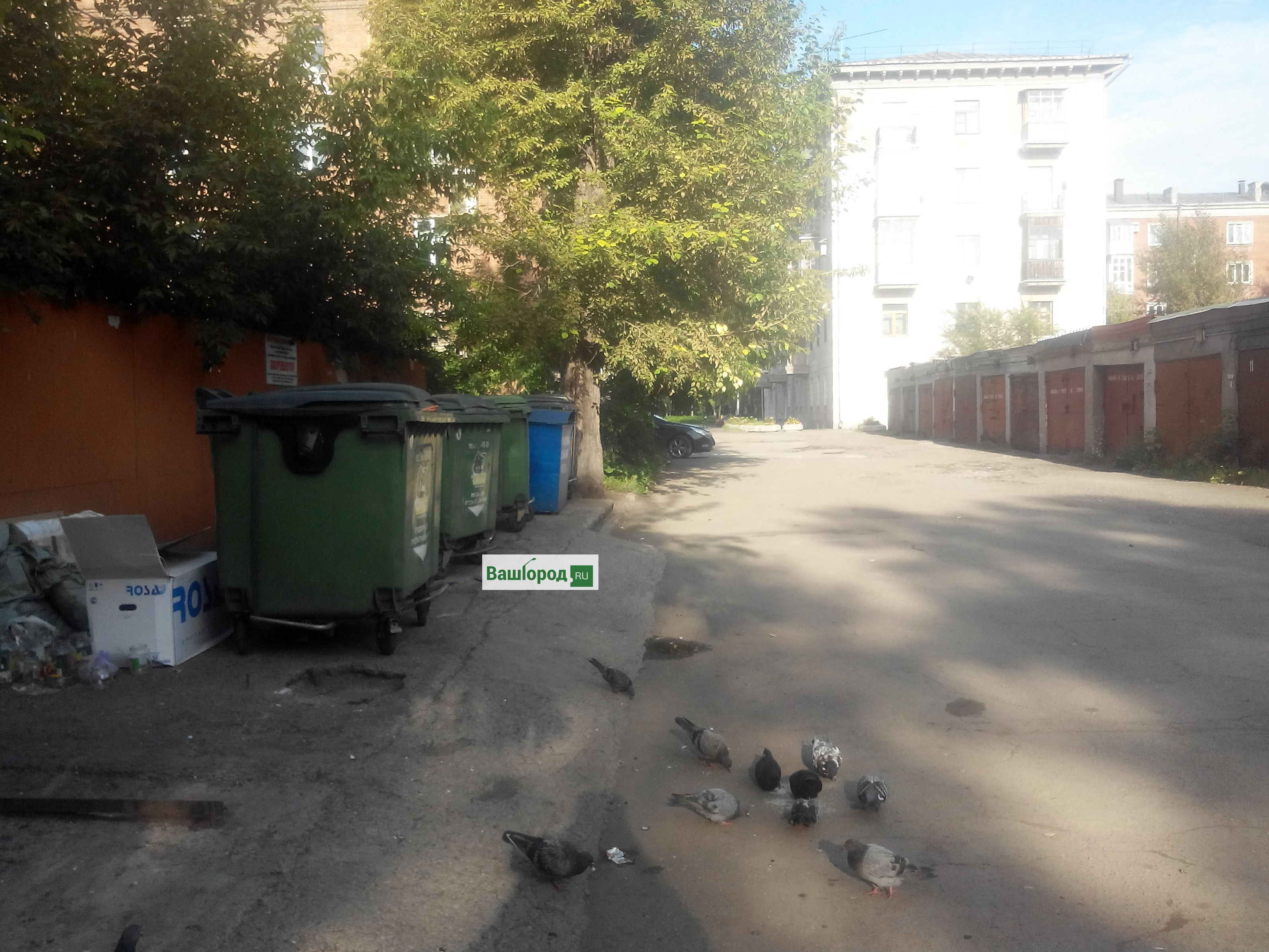 Год спустя: как живёт знаменитая новокузнецкая мусорка