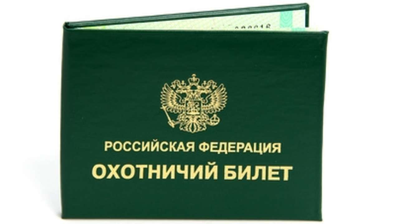 Минприроды предложило тестировать желающих получить охотничий билет —  Новости Новокузнецка сегодня, новости дня, последние новости