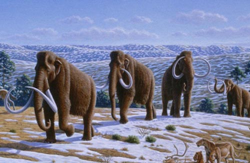 Названо время появления первых людей в Сибири