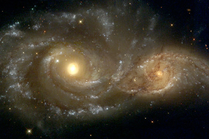 Жизнь оказалась занесенной из космоса