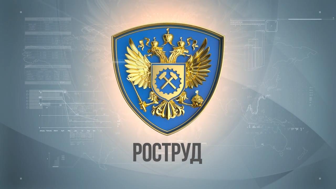 Пожаловаться на задержку зарплат можно по смартфону