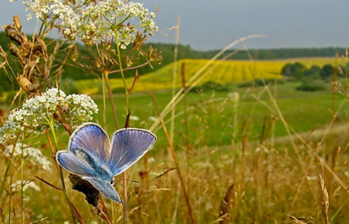 Законы августа станут важны для водителей, пенсионеров и туристов