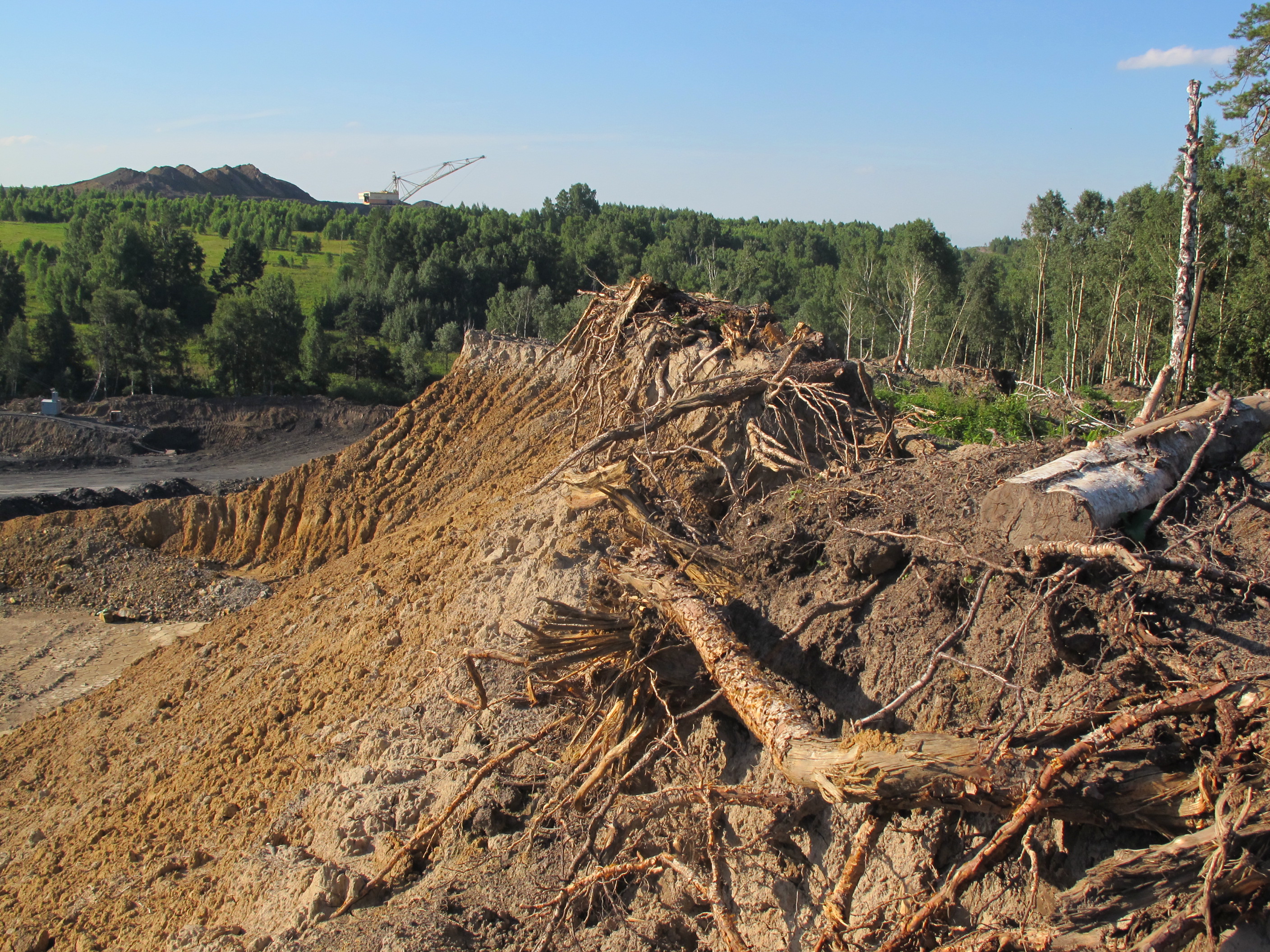 Здесь похозяйничал разрез (ФОТО)