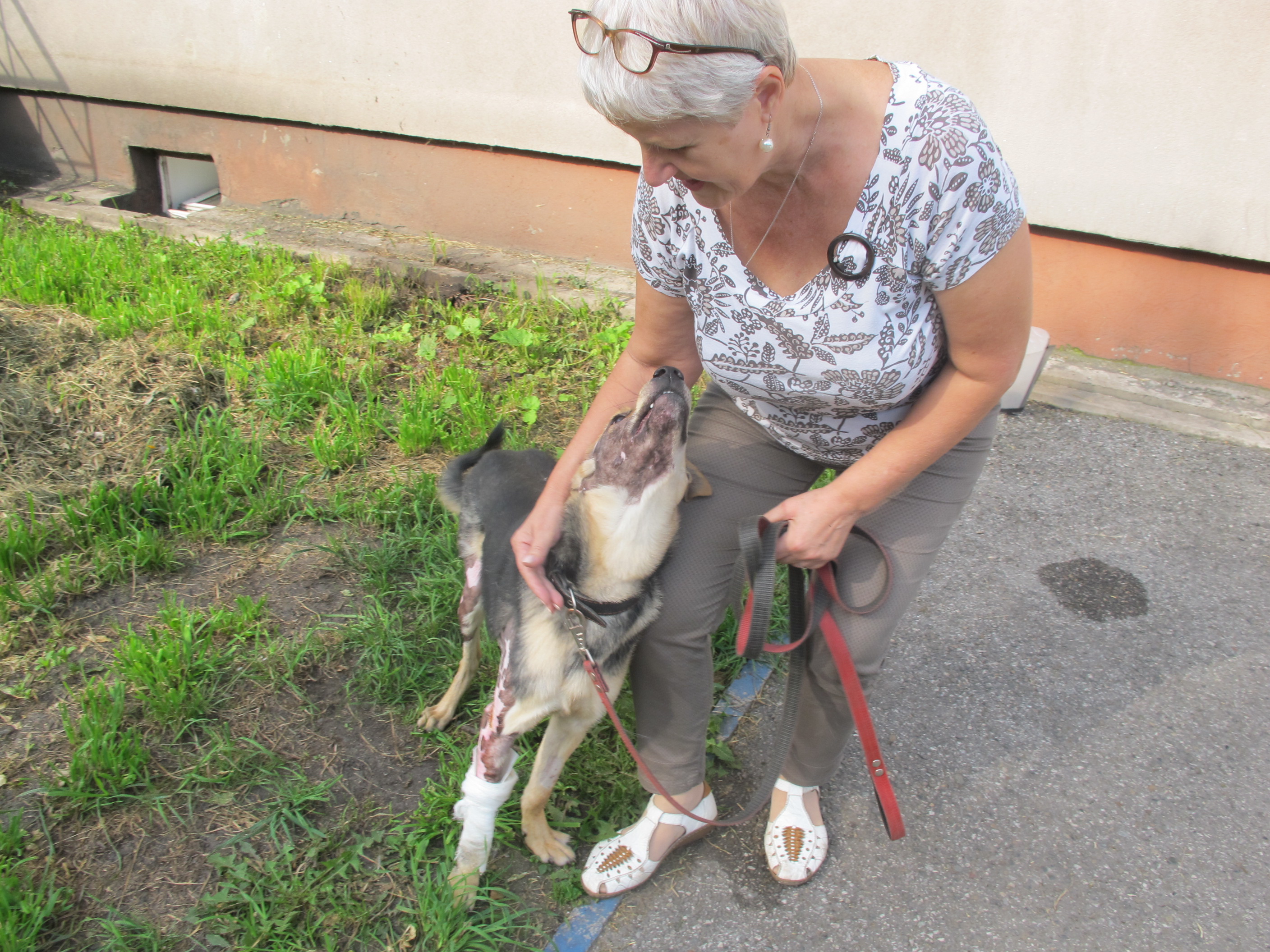 Обидчика Тимки объявили в розыск