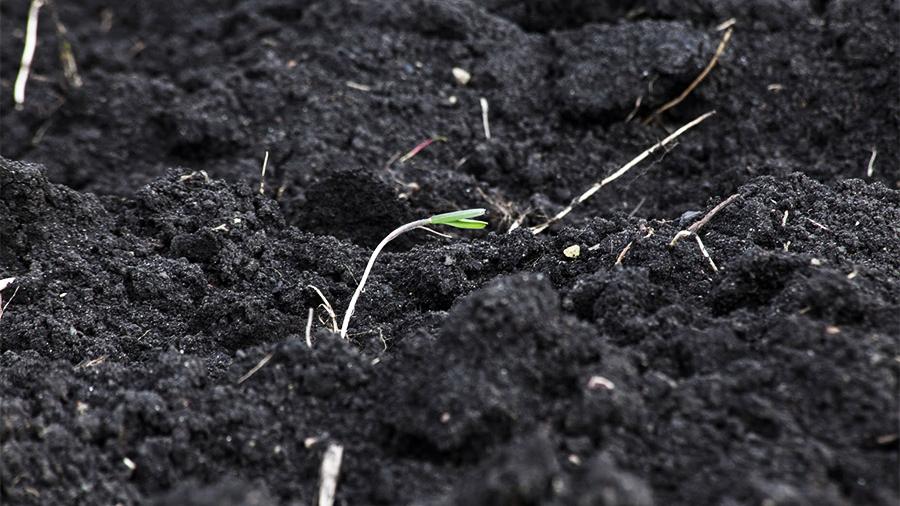 На почве вредности: кто возглавил рейтинг грязной земли