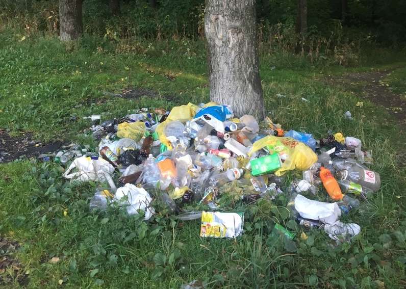 Чисто не там, где убирают...