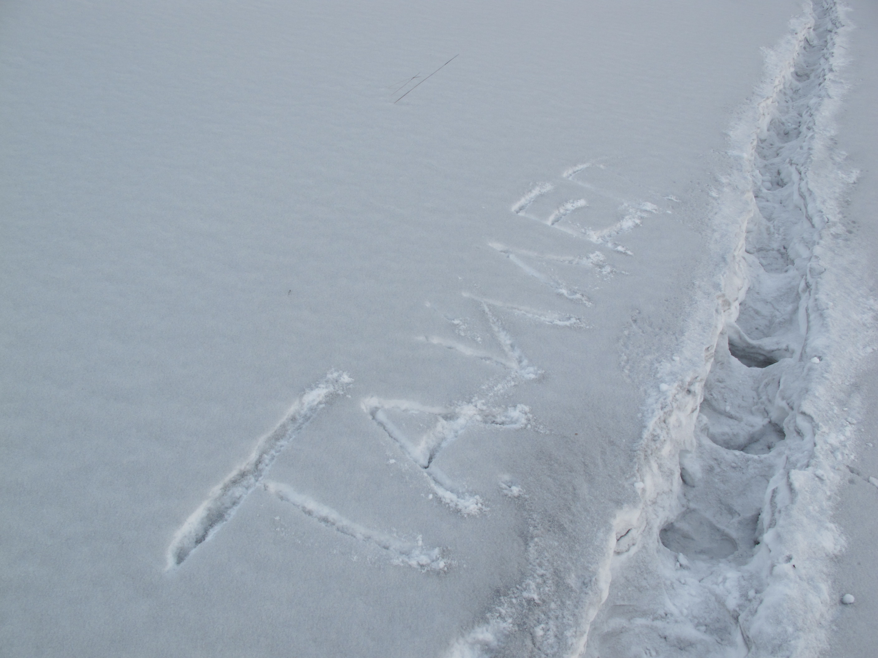 Что происходит в Тайлепе?