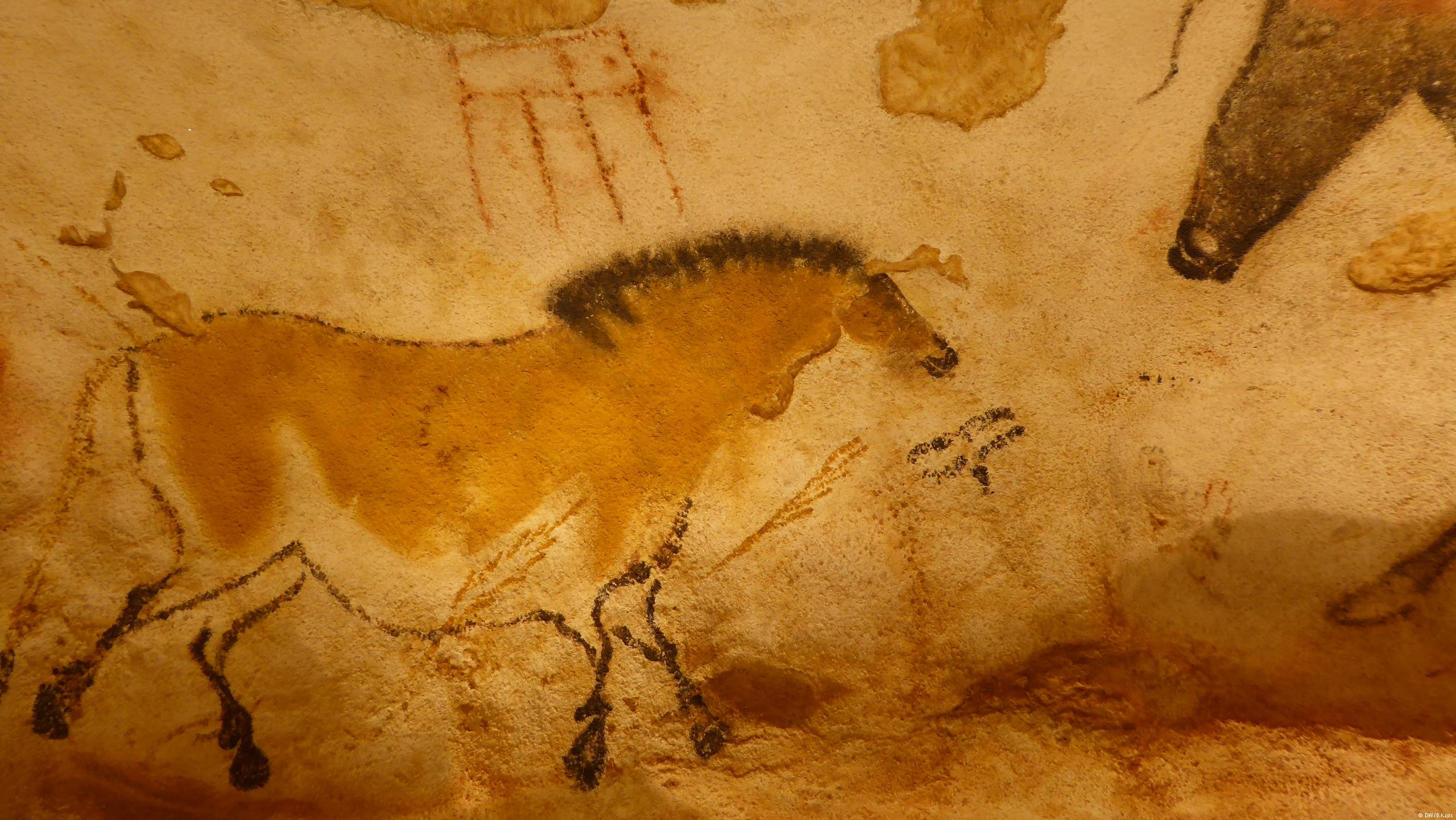 Лошадь пещера Ласко Франция Наскальная живопись палеолита