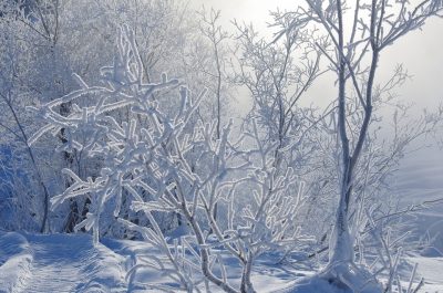 Морозы не отпустят: какая погода ждёт кузбассовцев на неделе