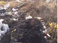 Мусорный беспредел Новокузнецк