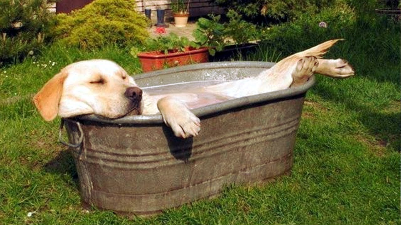 Ура! Мы едем на дачу – что советуют новокузнецкие врачи