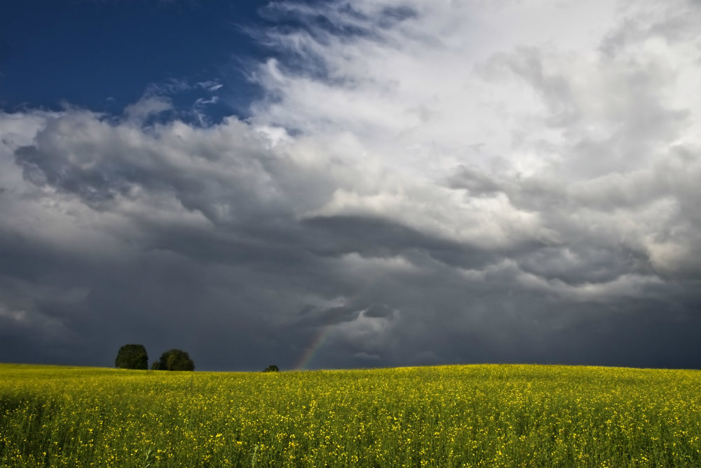 В Гидрометцентре предупредили о погоде второй половины августа