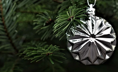 Видео: кузбассовец срубил себе ёлку посреди города