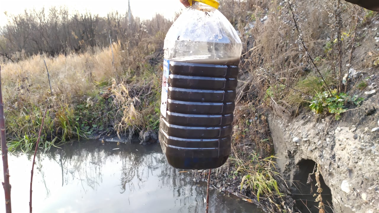 Цифровые реки вместо настоящих