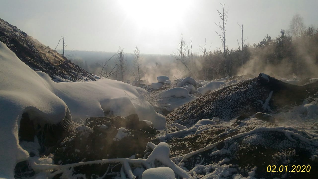 Активисты и ученые ищут свидетелей