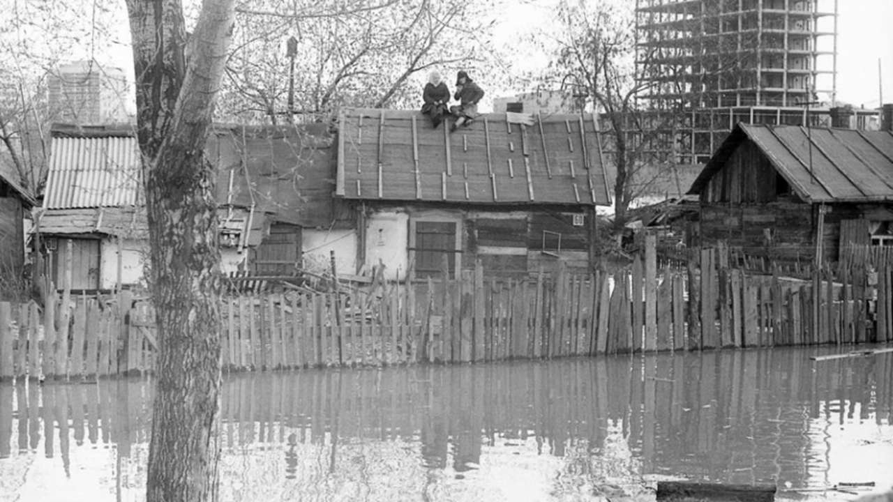 Плавали! Знаем… — Новости Новокузнецка сегодня, новости дня, последние  новости