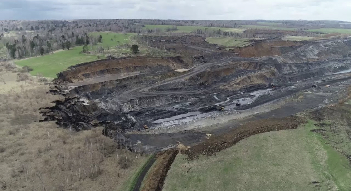 Приостановка деятельности и штрафы
