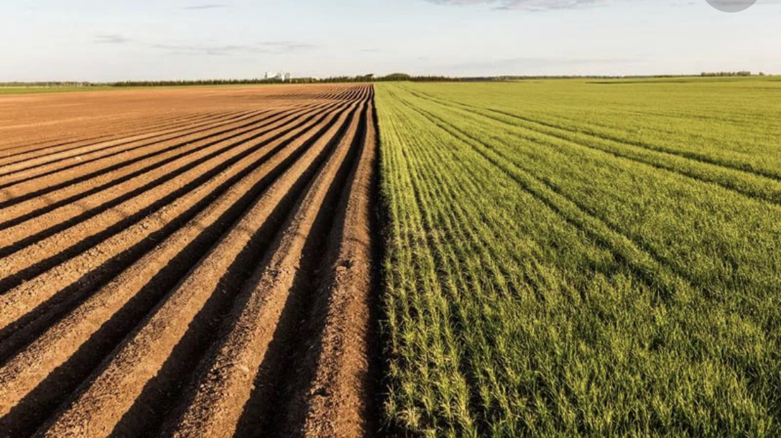 Переведены в промышленные