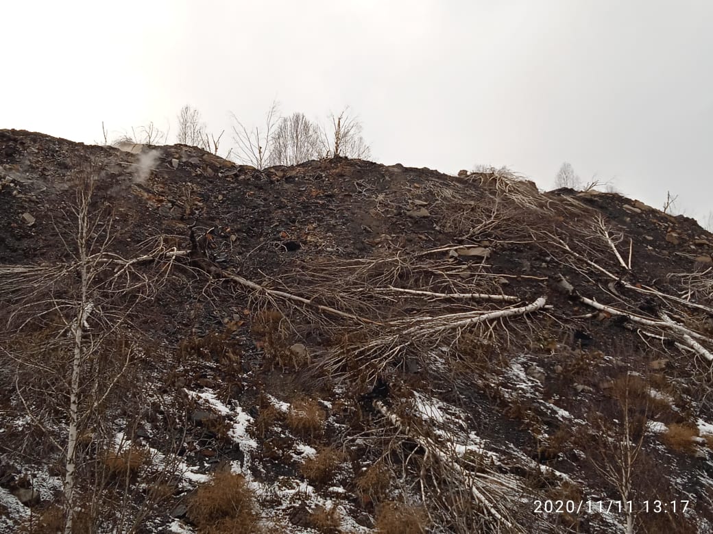 Над пропастью во лжи