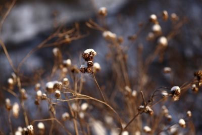 В выходные в Кузбассе резко похолодает