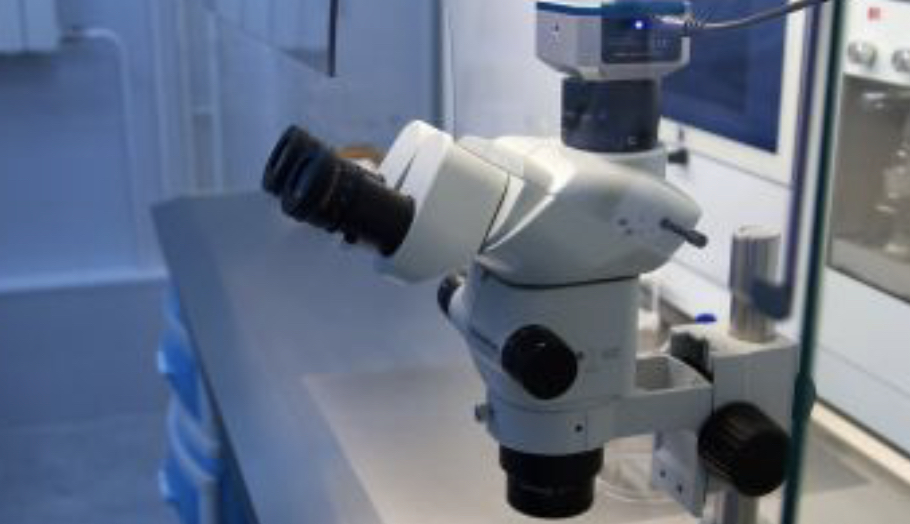 Кузбассовцам разъяснили, кому нужно делать тест на антитела перед вакцинацией от COVID-19