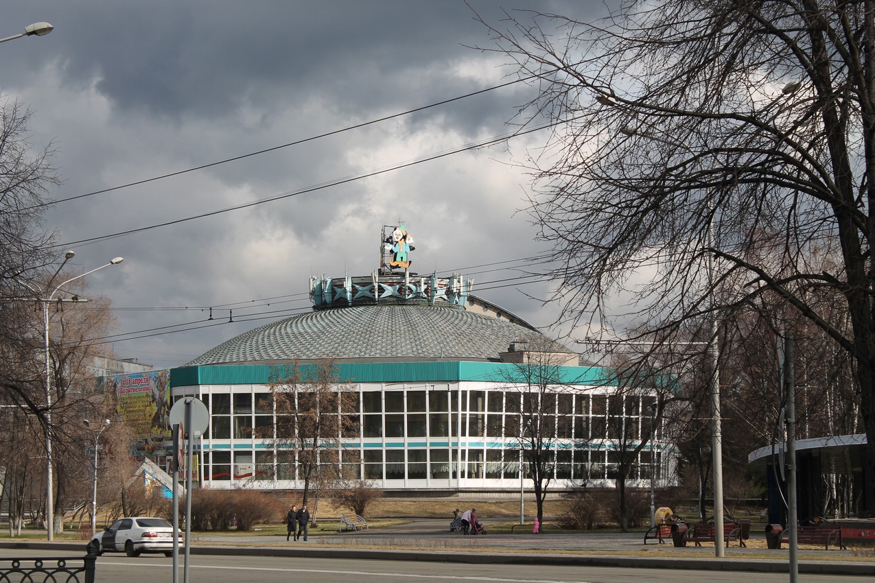 Бесплатный цирк для новокузнечан