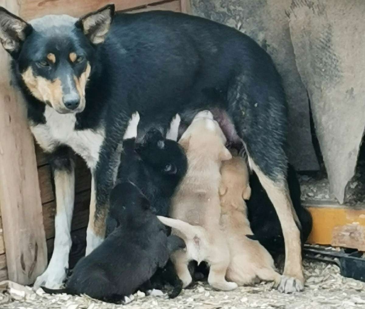 50 рублей для спасения жизни