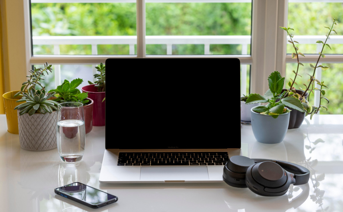 В Сбербанке рассказали о рекордной сумме хищения у одного клиента