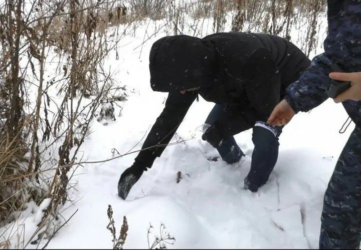 Ну что же ты студент…