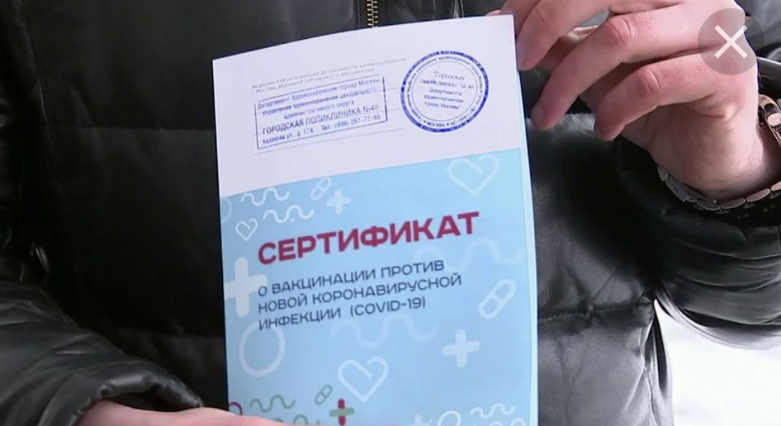 За липовый сертификат не липовая ответственность