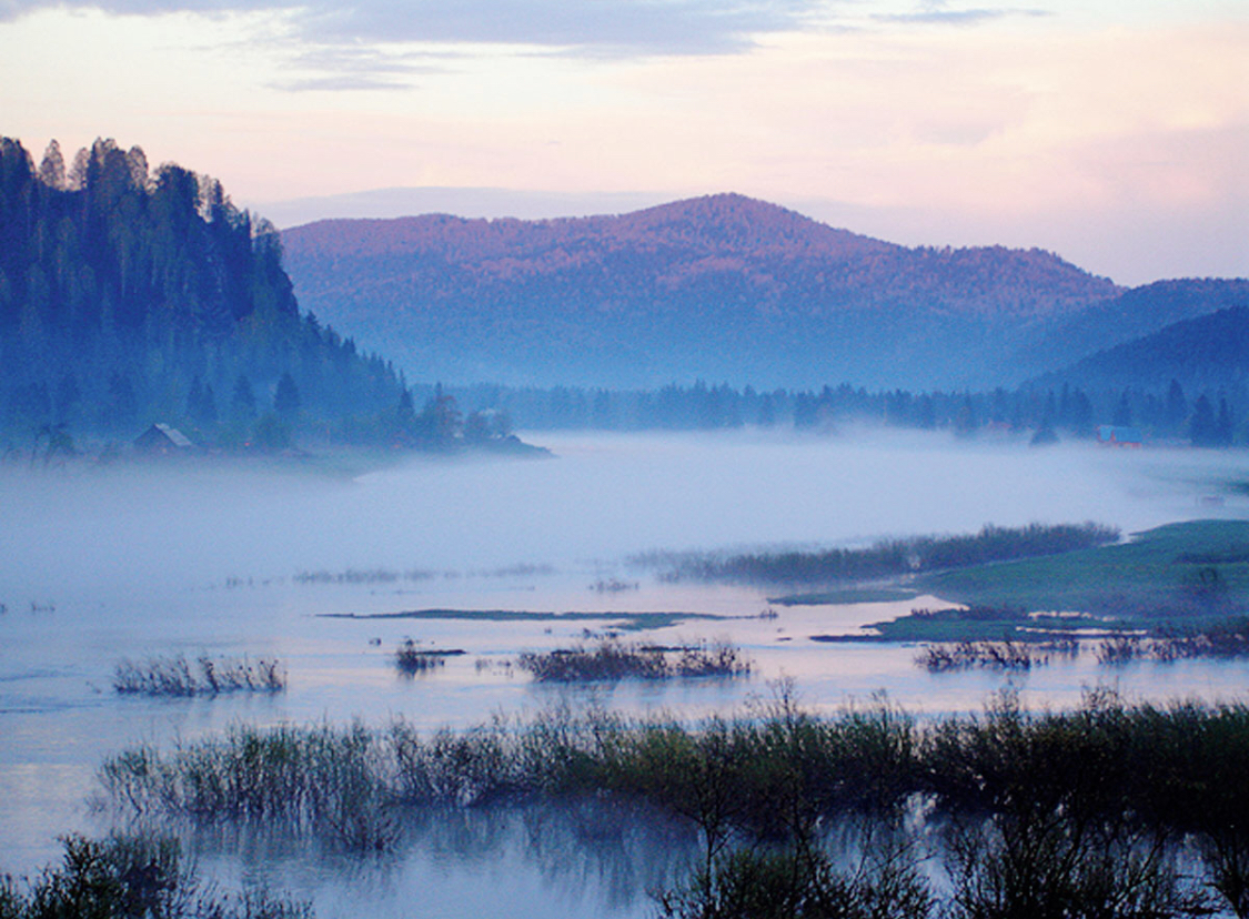 … и останутся одни угольные разрезы!