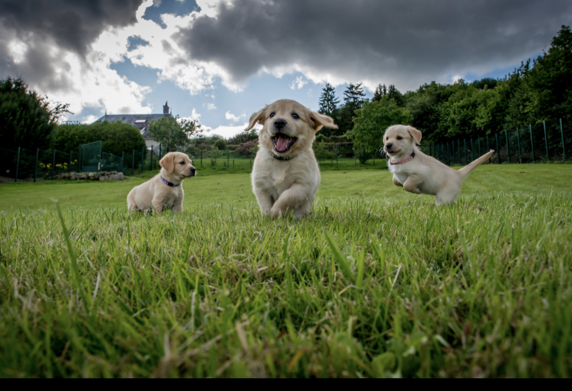 Любовь, которой тебя одарят в ответ