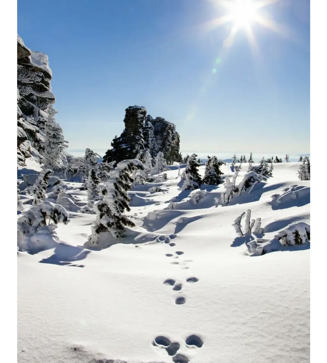 Гуляй, Шерегеш!