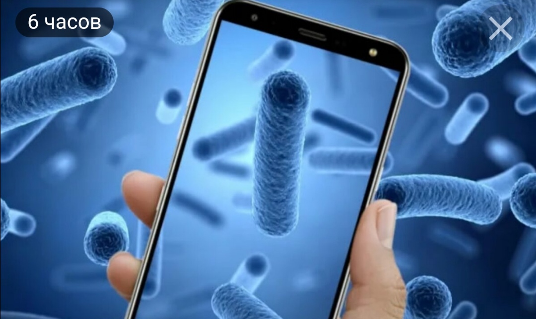 Эксперт рассказала, чем можно заразиться через смартфон