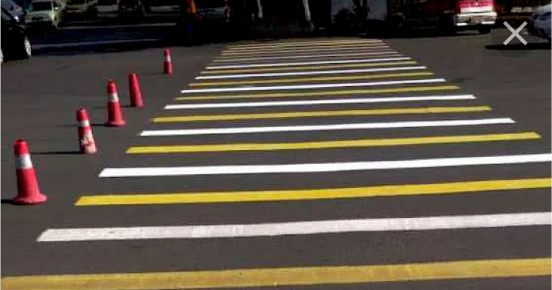 "Зебра" у мэрии