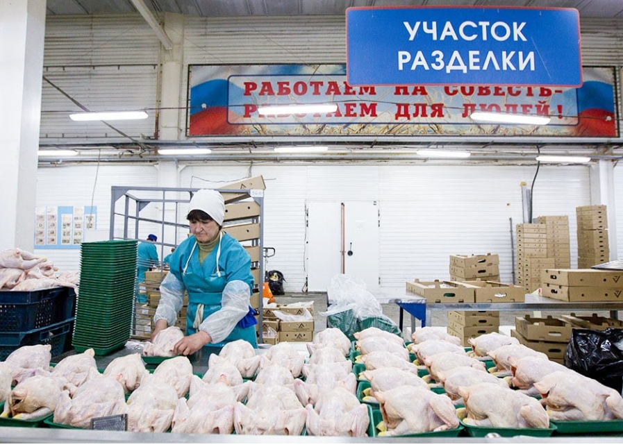 Минсельхоз договорился с производителями о стабилизации цен на мясо птицы