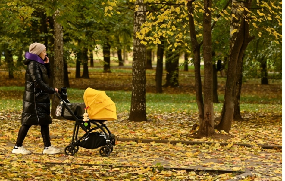ПФР объяснил, на что можно потратить маткапитал сразу после рождения ребенка